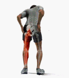 rwwallingdc_website022003.gif